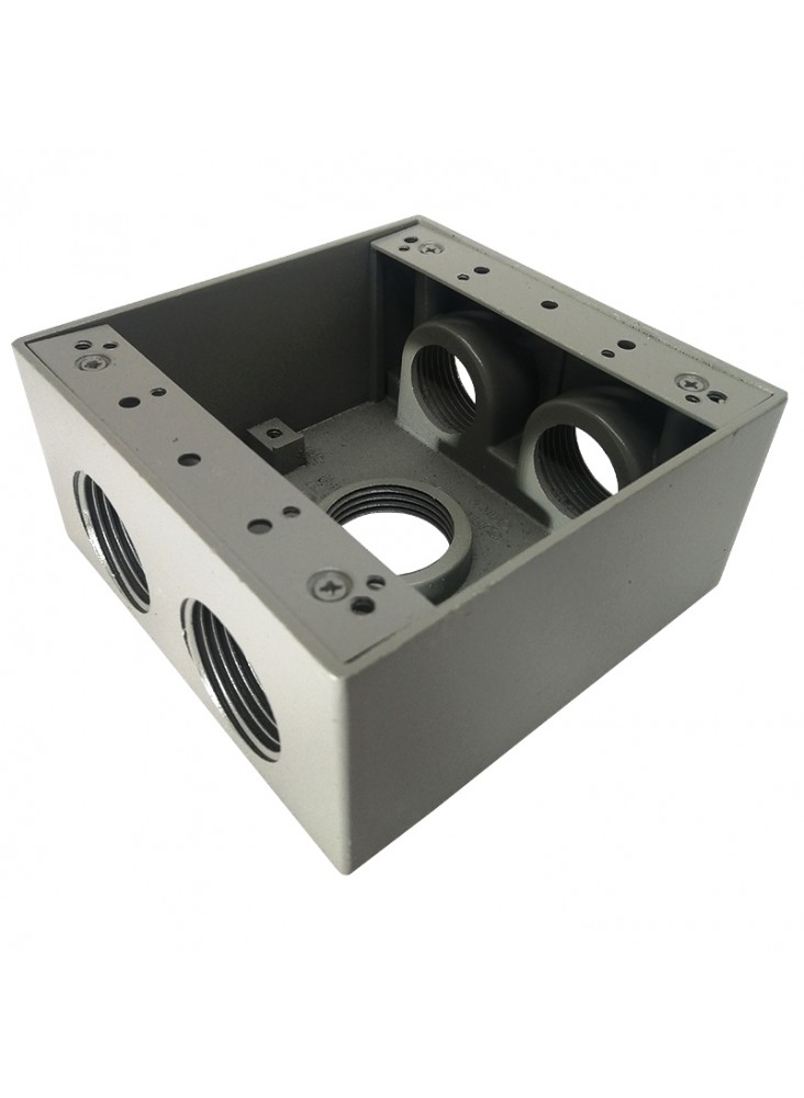 CAJA RAWELT 4X4 5 ENTRADAS 1"   