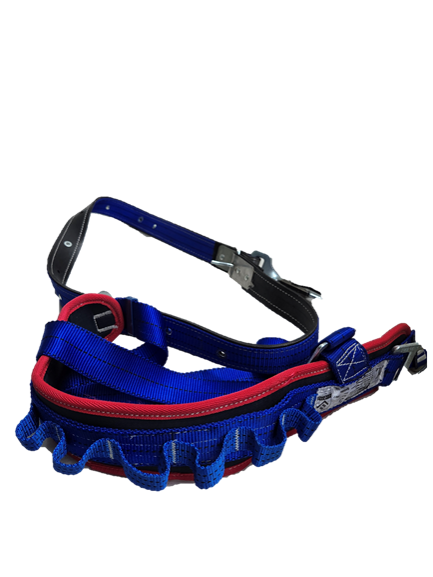 CINTURON SEGURIDAD+BANDA POSTE  